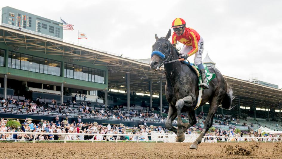 Nevada Beach, 2025 Goodwood Stakes, Bob Baffert, Santa Anita, Breeders Cup Classic